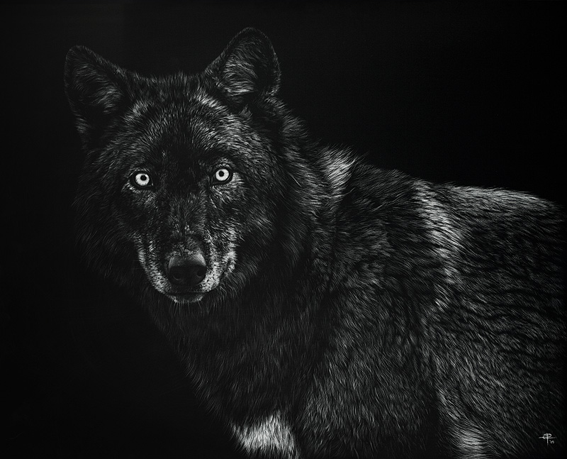 Dark Black Wolf